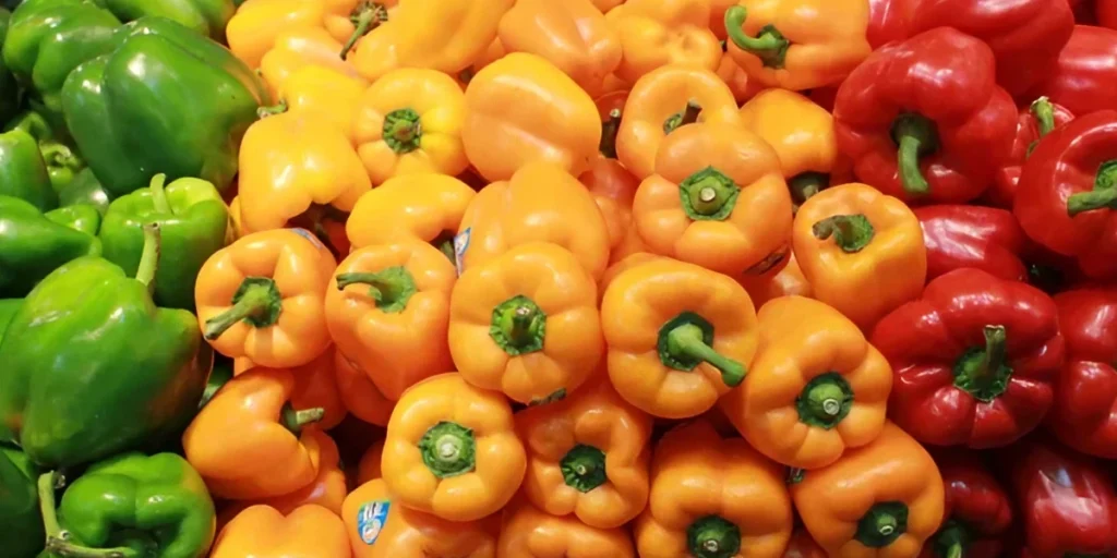 Summer Vegetables What Vegetables are in Season in Summer? Foodtree